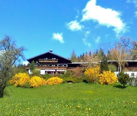 Biohof Schwanser Steinbach am Attersee Exteriér fotografie