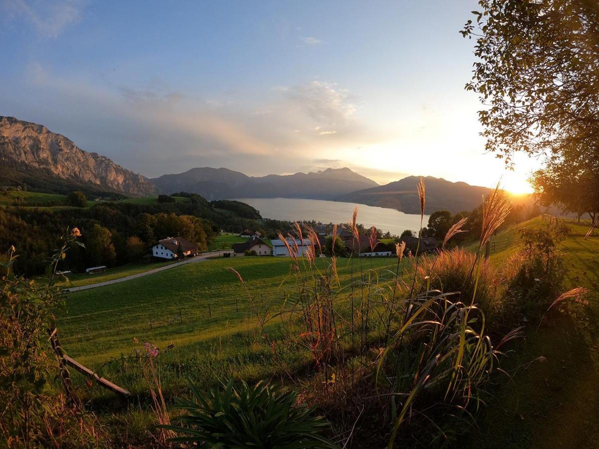 Biohof Schwanser Steinbach am Attersee Exteriér fotografie