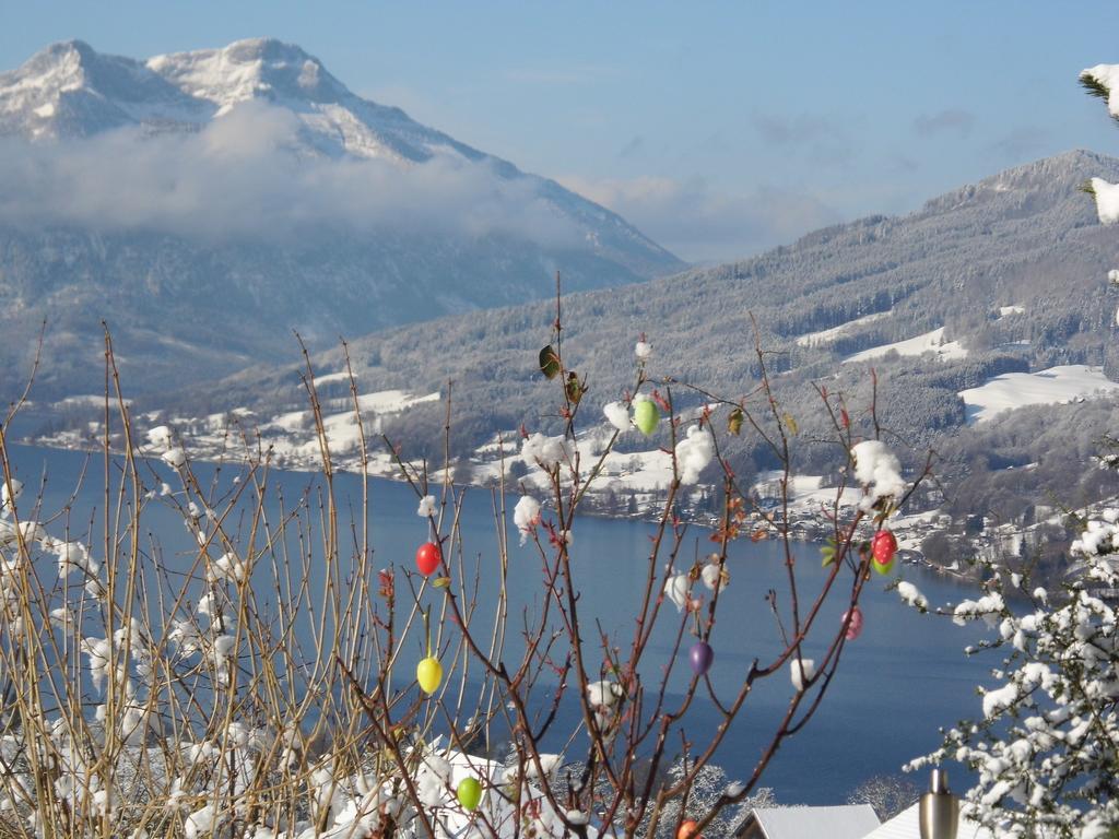 Biohof Schwanser Steinbach am Attersee Exteriér fotografie