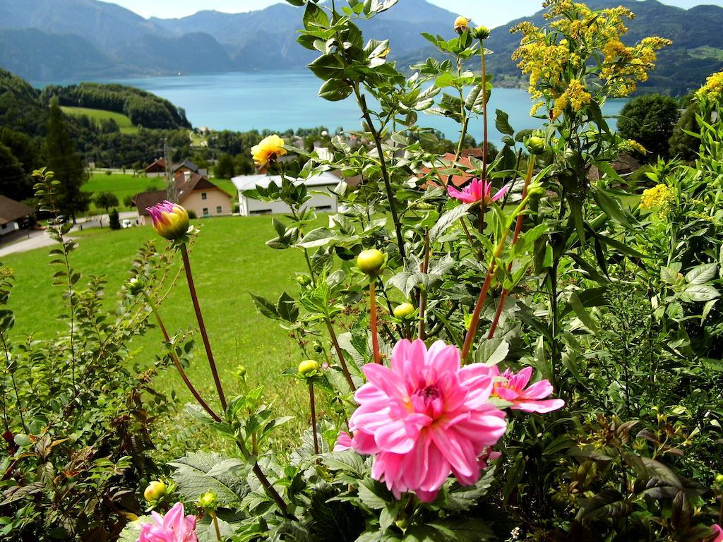 Biohof Schwanser Steinbach am Attersee Exteriér fotografie