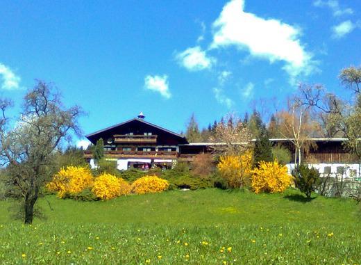 Biohof Schwanser Steinbach am Attersee Exteriér fotografie