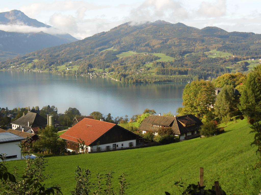 Biohof Schwanser Steinbach am Attersee Exteriér fotografie