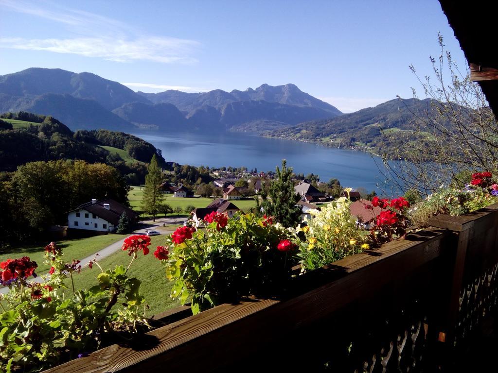 Biohof Schwanser Steinbach am Attersee Exteriér fotografie