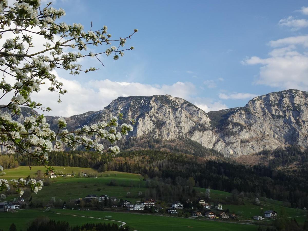 Biohof Schwanser Steinbach am Attersee Exteriér fotografie